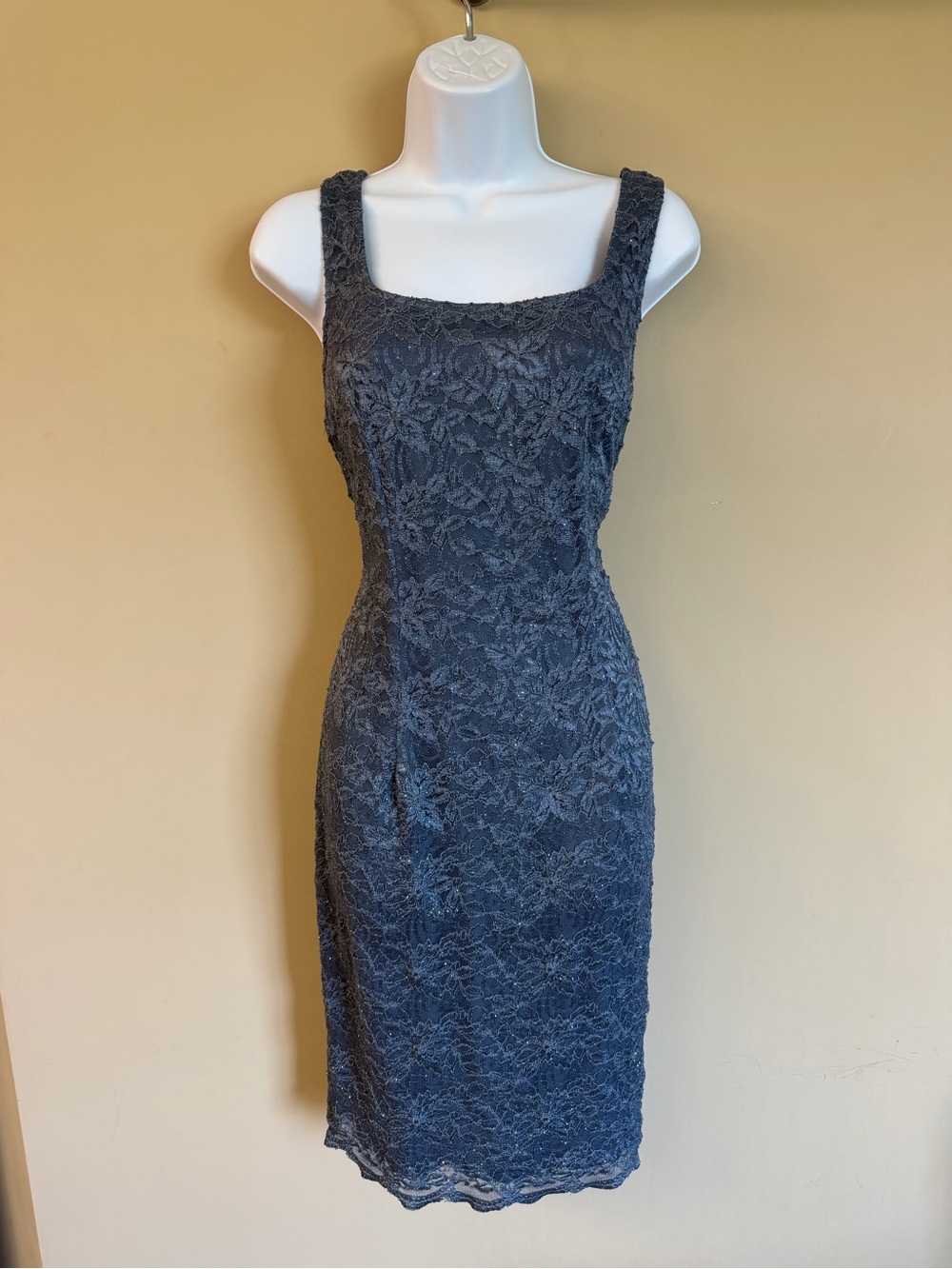 Alex Evenings Sparkly Lace Dress, Size 12